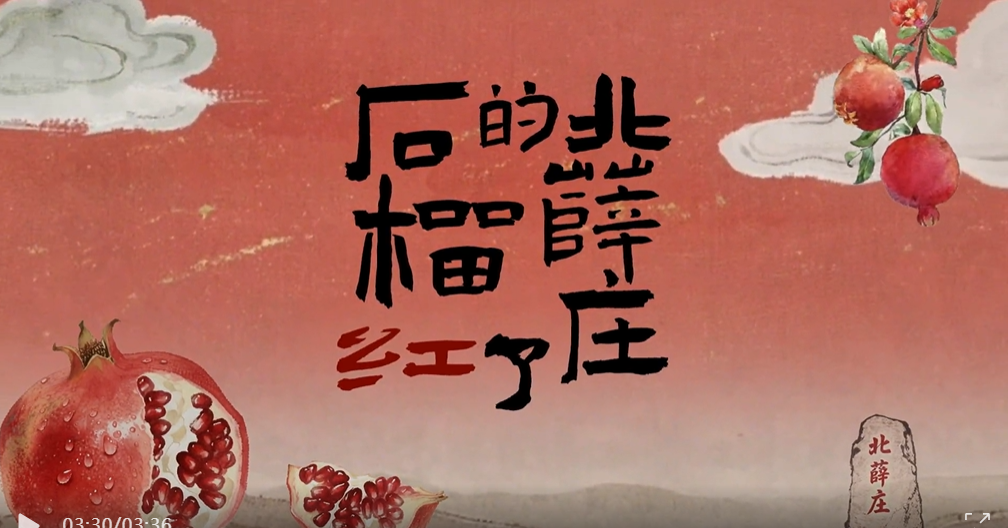 【微视频】北薛庄的石榴红了