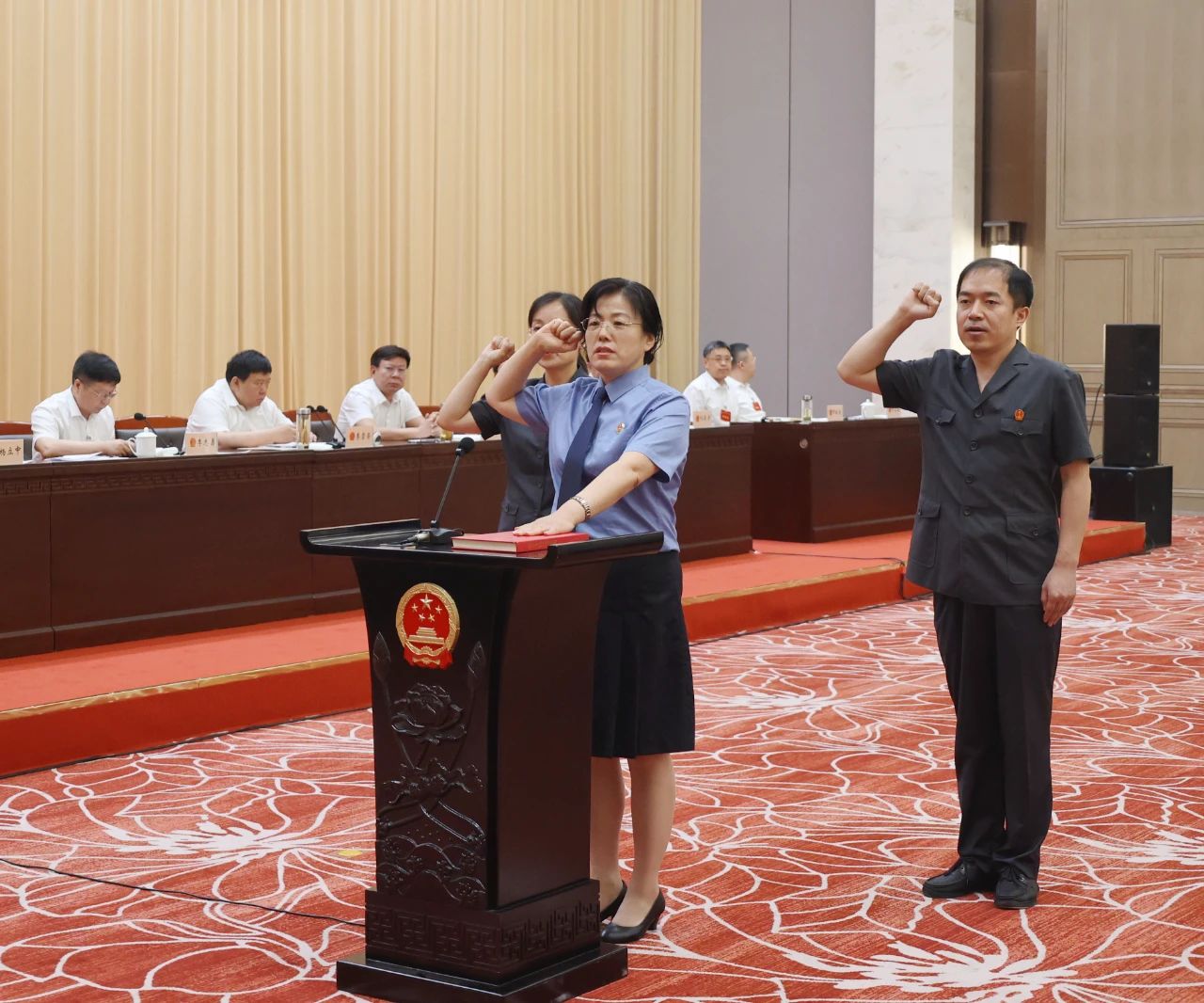 李素颖进行宪法宣誓