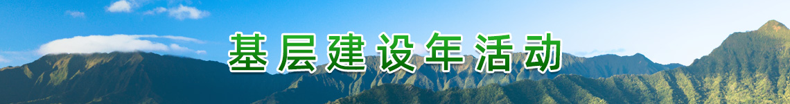 基层建设年活动